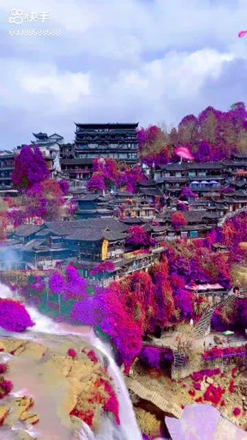 丈夫担心孕妻受辐射命令邻居关WiFi，邻居是如何霸气回应的？